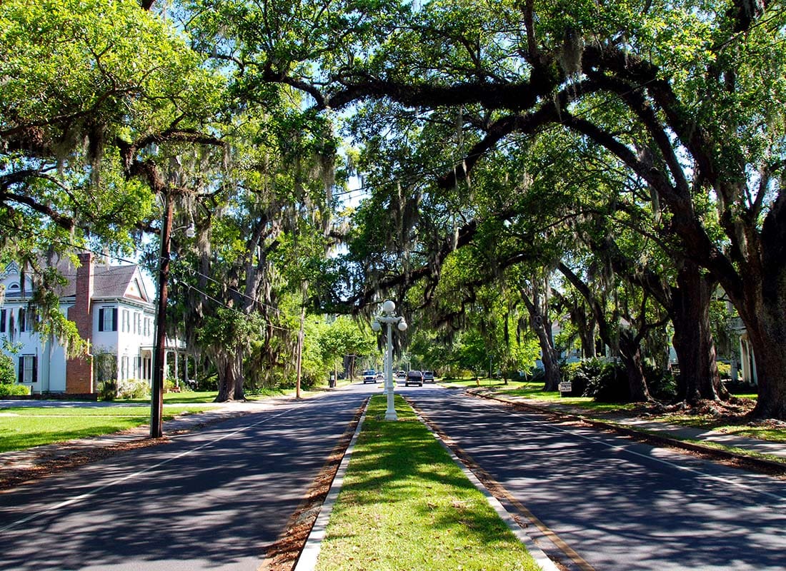Hammond, LA - View of a Quiet Residential Street with Southern Oak Trees on a Sunny Day in Hammond Louisiana