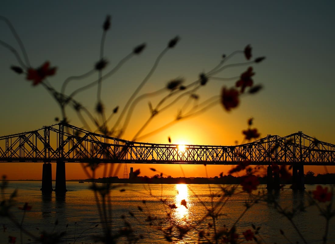 Vidalia, LA - Scenic View of a Bridge Across the River at Sunset with Blooming Plants in Front of the Lens in Vidalia Louisiana